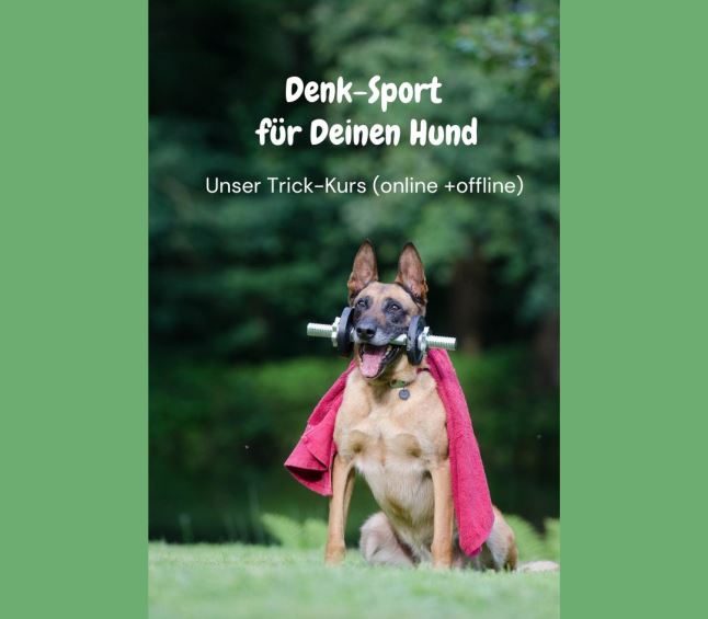 Tricks mit Hund